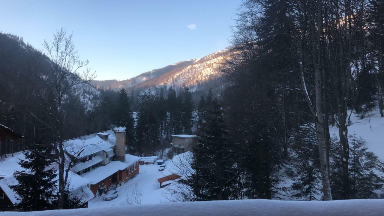 Apartmanovy Dom Poludnica - Chopok Juh Tale Dış mekan fotoğraf